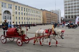 IMG_4645